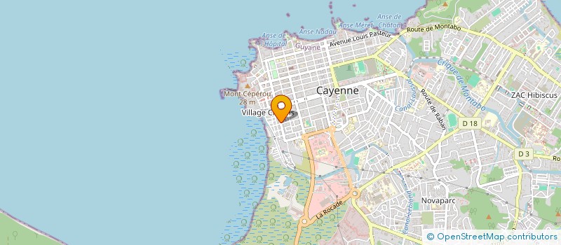 localisation de l'entreprise MONSIEUR ALEXIS GONCALVES ASSUNCAO à CAYENNE