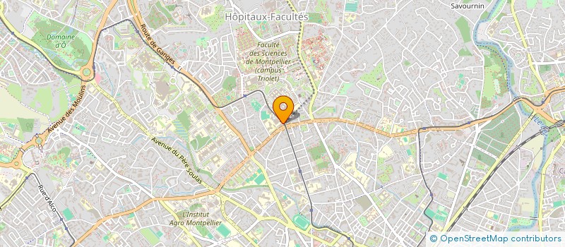 localisation de l'entreprise MONSIEUR ALEXIS JIMENO à MONTPELLIER