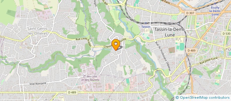 localisation de l'entreprise MONSIEUR ALEXIS LABESSE  TASSIN-LA-DEMI-LUNE