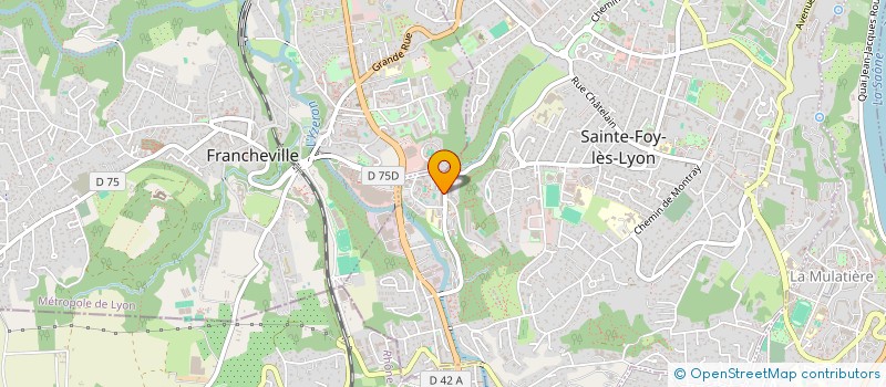 localisation de l'entreprise MONSIEUR ALEXIS LOZAC'HMEUR  SAINTE-FOY-LES-LYON