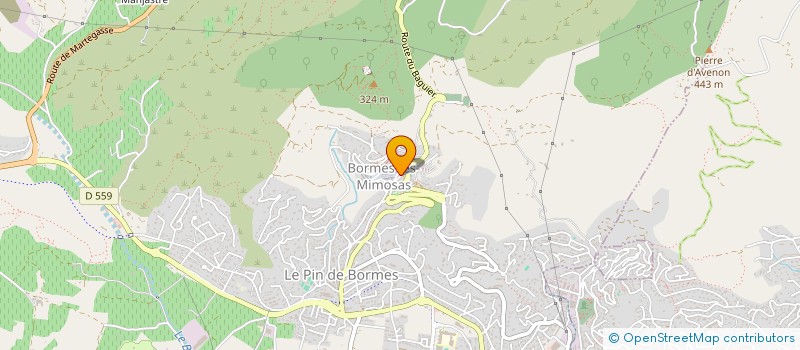 localisation de l'entreprise MONSIEUR ALEXIS MASSON  BORMES-LES-MIMOSAS