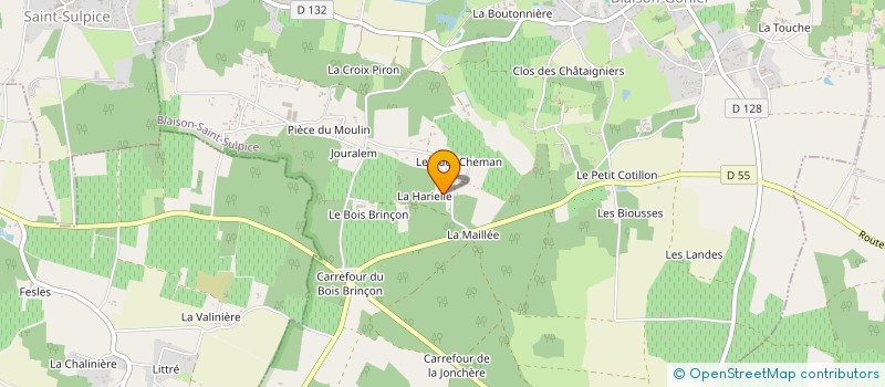 localisation de l'entreprise MONSIEUR ALEXIS MAUPOINT à BLAISON-SAINT-SULPICE
