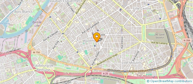 localisation de l'entreprise MONSIEUR ALEXIS PELTIER  LILLE