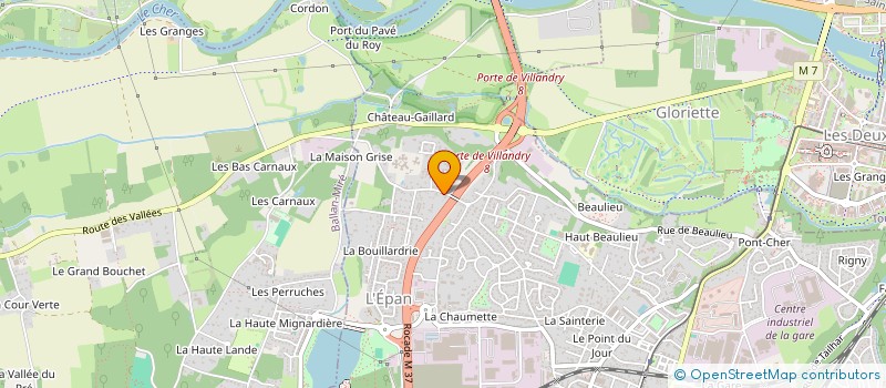 localisation de l'entreprise MONSIEUR ALEXIS RIEUTORD  JOUE-LES-TOURS