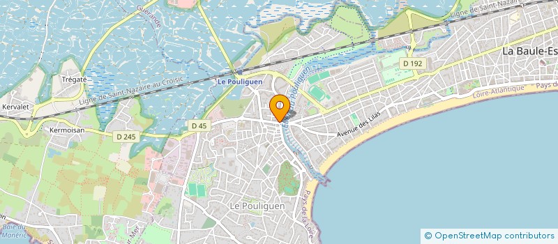 localisation de l'entreprise MONSIEUR ALEXIS SCHERHAG à LE POULIGUEN