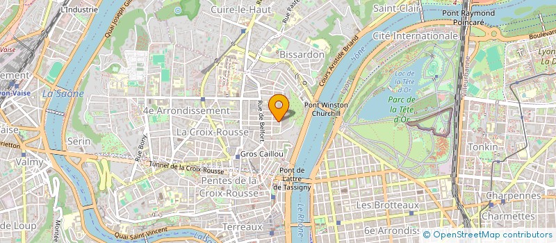 localisation de l'entreprise MONSIEUR ALEXIS SCHMITTER  LYON