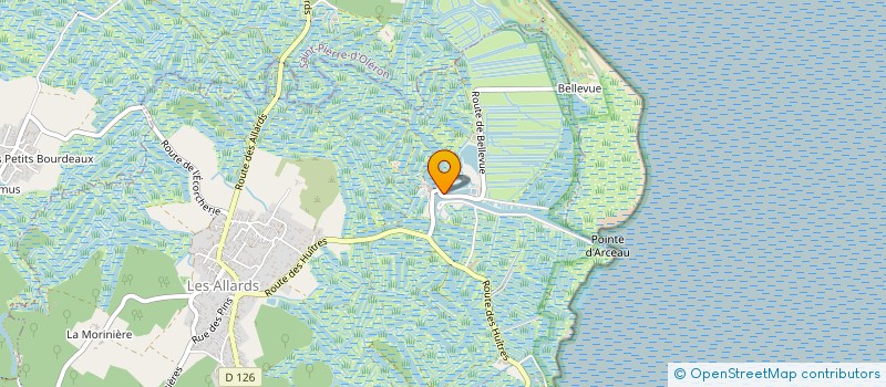 localisation de l'entreprise MONSIEUR ALEXIS VIDEAU  DOLUS-D'OLERON