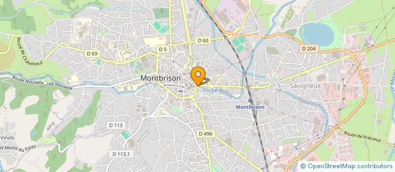 localisation de l'entreprise MONSIEUR ALFRED DAMON  MONTBRISON