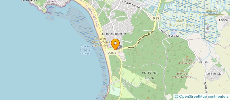 localisation de l'entreprise MONSIEUR ALFREDO PINTO  SAINT-GEORGES-DE-DIDONNE