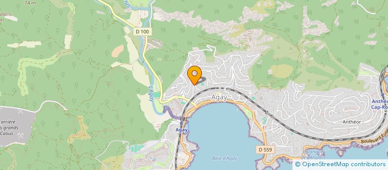 localisation de l'entreprise MONSIEUR ALI CIN  SAINT-RAPHAEL