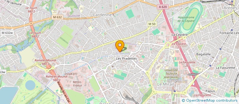 localisation de l'entreprise MONSIEUR ALI DAOUD OBSIE  TOULOUSE