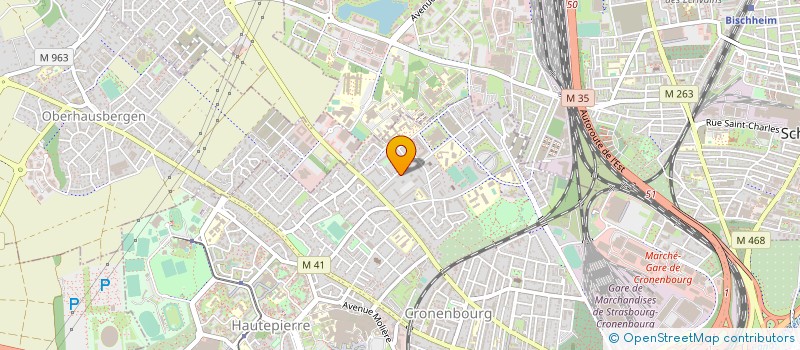 localisation de l'entreprise MONSIEUR ALI DICKO  STRASBOURG