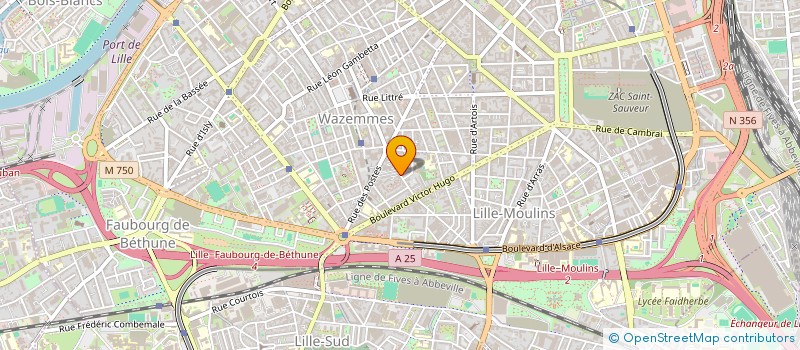 localisation de l'entreprise MONSIEUR ALI DJAFI  LILLE