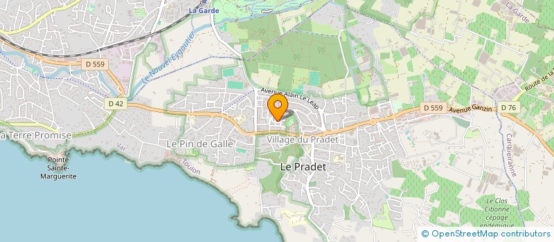 localisation de l'entreprise MONSIEUR ALI DJELASSI  LE PRADET