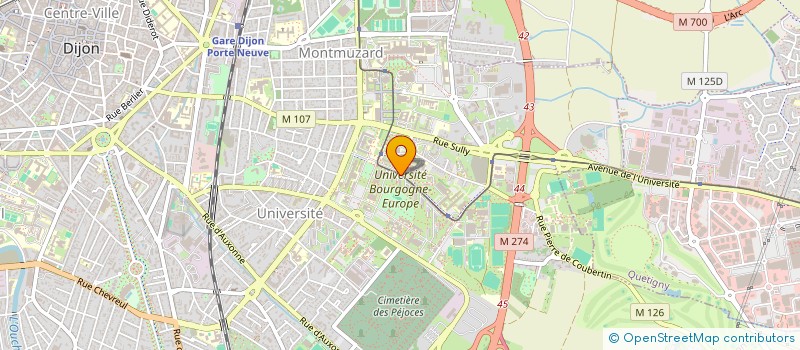 localisation de l'entreprise MONSIEUR ALI EL AMRIOUI à DIJON