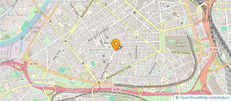 localisation de l'entreprise MONSIEUR ALI FAZAL à LILLE