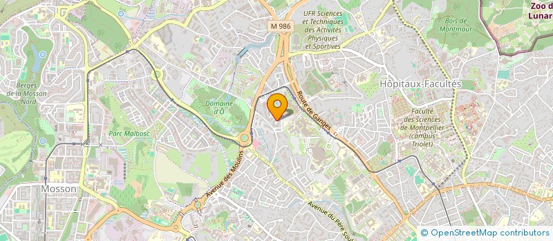 localisation de l'entreprise MONSIEUR ALI FEKRAOUI à MONTPELLIER