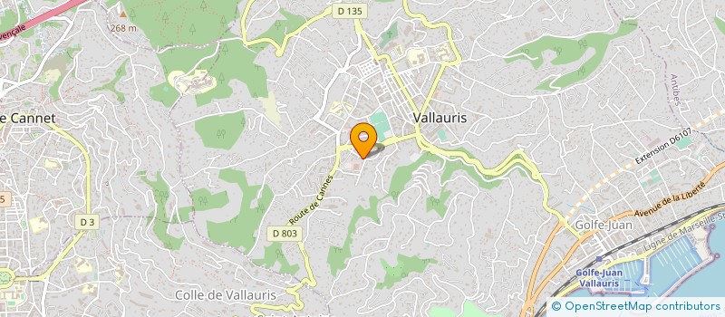 localisation de l'entreprise MONSIEUR ALI GHANMI  VALLAURIS