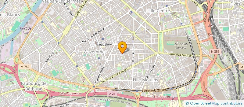 localisation de l'entreprise MONSIEUR ALI HAMMAD  LILLE