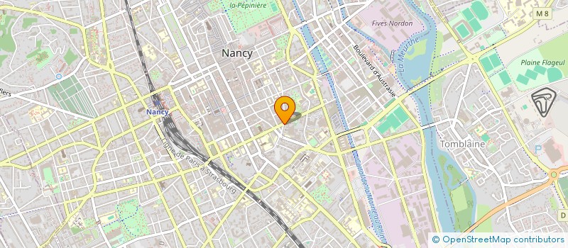 localisation de l'entreprise MONSIEUR ALI ISMAIL TABAK  NANCY