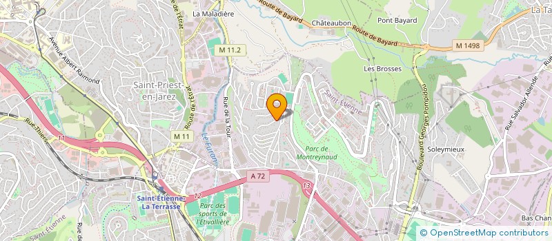 localisation de l'entreprise MONSIEUR ALI KAYACI  SAINT-ETIENNE