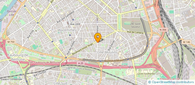 localisation de l'entreprise MONSIEUR ALI LALLAIGUI à LILLE