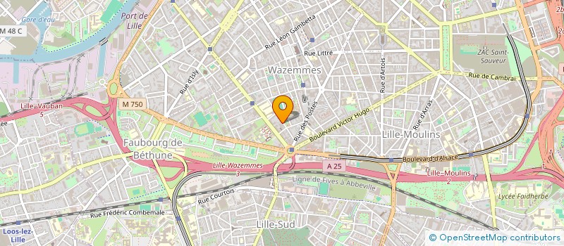 localisation de l'entreprise MONSIEUR ALI NEDJARI à LILLE