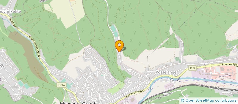 localisation de l'entreprise MONSIEUR ALI OZMEN  ROSSELANGE