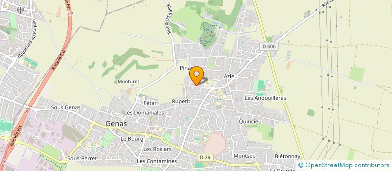 localisation de l'entreprise MONSIEUR ALI PALTA à GENAS