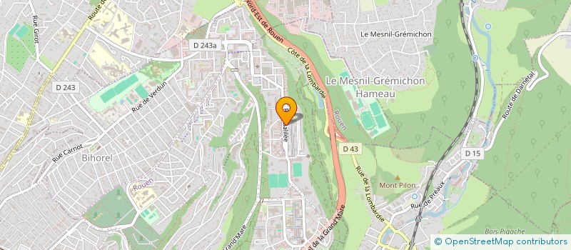 localisation de l'entreprise MONSIEUR ALI RASHIDI  ROUEN