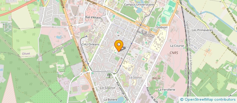 localisation de l'entreprise MONSIEUR ALI REZA ALIZADA  ORLEANS