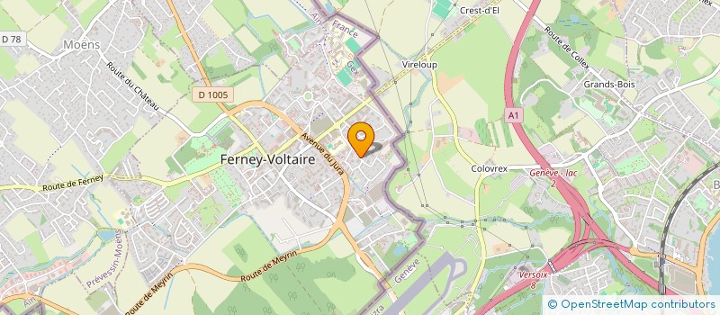 localisation de l'entreprise MONSIEUR ALI SAID SOILIHI à FERNEY-VOLTAIRE