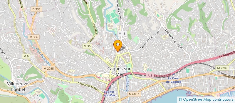 localisation de l'entreprise MONSIEUR ALI SALAH à CAGNES-SUR-MER
