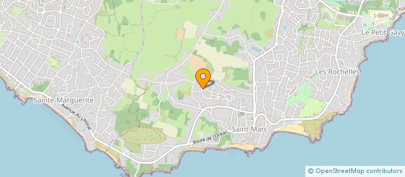 localisation de l'entreprise MONSIEUR ALI SALIH AHMADDINE  SAINT-NAZAIRE