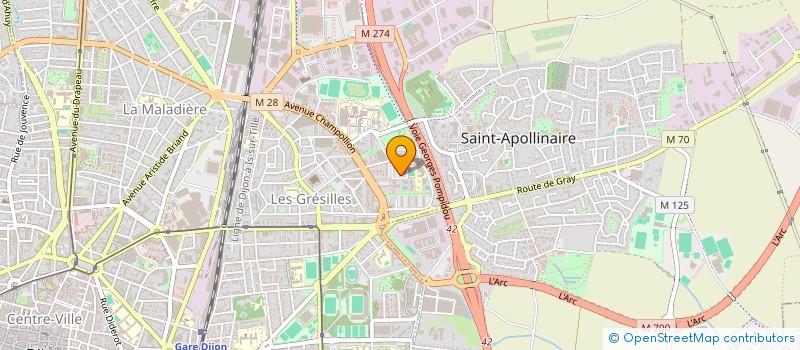 localisation de l'entreprise MONSIEUR ALI SOLYMAN ALI  DIJON