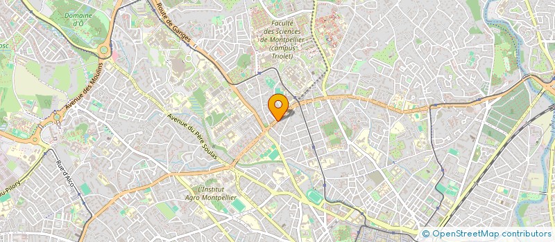 localisation de l'entreprise MONSIEUR ALI WAFDI à MONTPELLIER