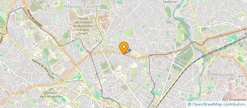 localisation de l'entreprise MONSIEUR ALI ZAINOUL à MONTPELLIER