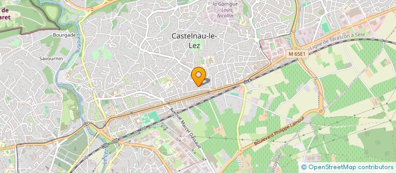 localisation de l'entreprise MONSIEUR ALI ZATOUT à CASTELNAU-LE-LEZ