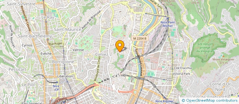 localisation de l'entreprise MONSIEUR ALIAKSEI NEKRACHEVITCH à NICE