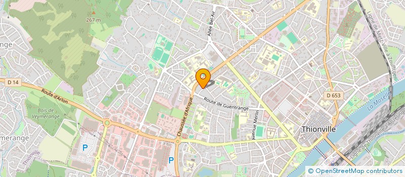 localisation de l'entreprise MONSIEUR ALIHAN TSELOEV  THIONVILLE