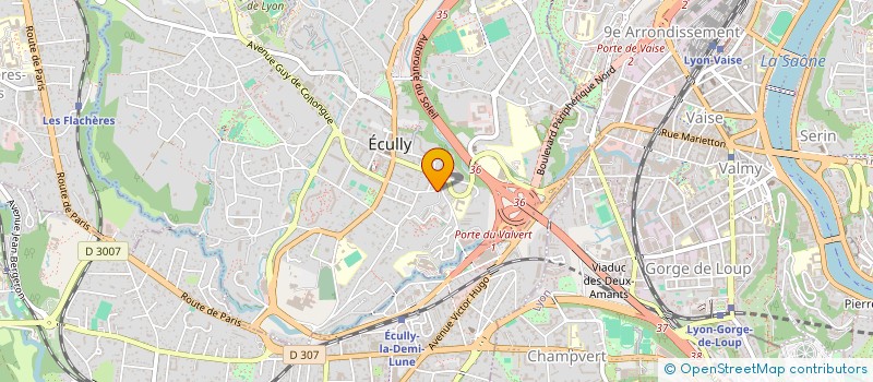 localisation de l'entreprise MONSIEUR ALIJA SALIJEVIC  ECULLY