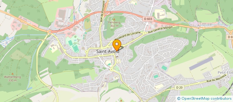 localisation de l'entreprise MONSIEUR ALIN-VALENTIN FARCAS à LE CANNET
