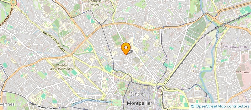 localisation de l'entreprise MONSIEUR ALIOU DIOUF à MONTPELLIER