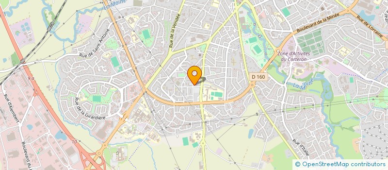 localisation de l'entreprise MONSIEUR ALIREZA NAZARI  CHOLET