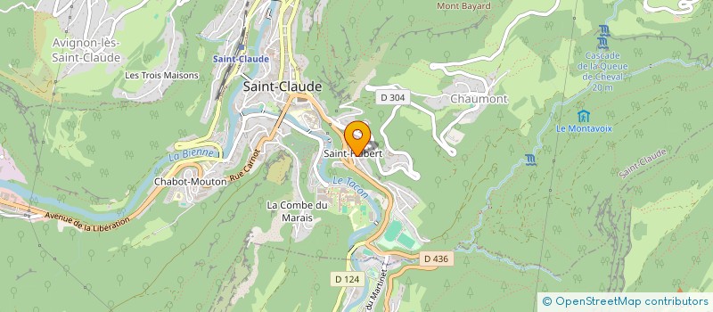 localisation de l'entreprise MONSIEUR ALIX BOURAUX  SAINT-CLAUDE