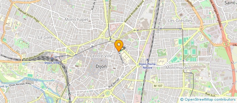 localisation de l'entreprise MONSIEUR ALIX CHEVALIER  DIJON