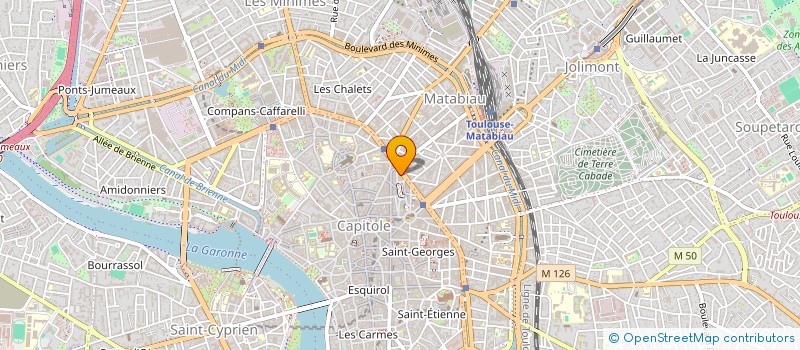 localisation de l'entreprise MONSIEUR ALLAHOU TAHER ABAKAR  TOULOUSE