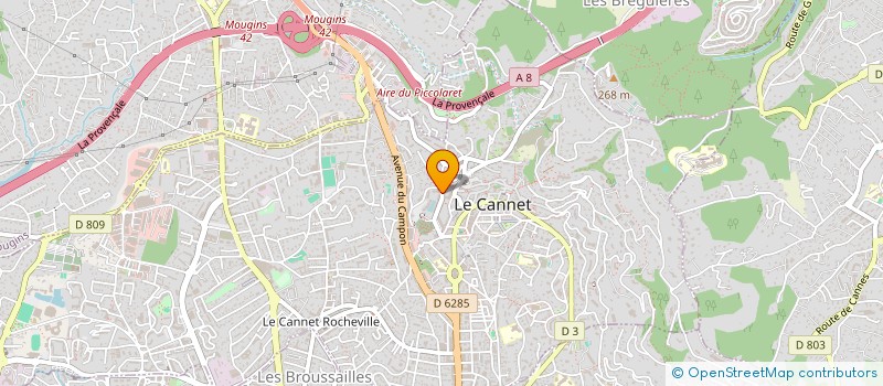 localisation de l'entreprise MONSIEUR ALLAIN RENARD à LE CANNET