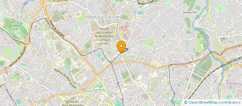 localisation de l'entreprise MONSIEUR ALLAN-CHRISTOPHER ASSAD à MONTPELLIER