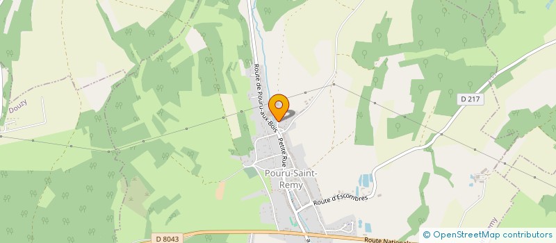 localisation de l'entreprise MONSIEUR ALLAN DION  POURU-SAINT-REMY